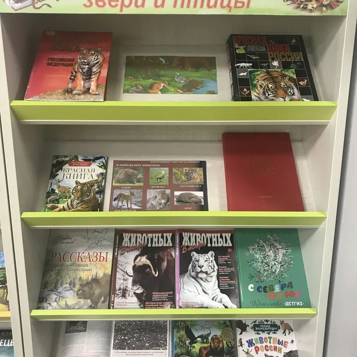 Книжная выставка «На красной странице звери и птицы» 