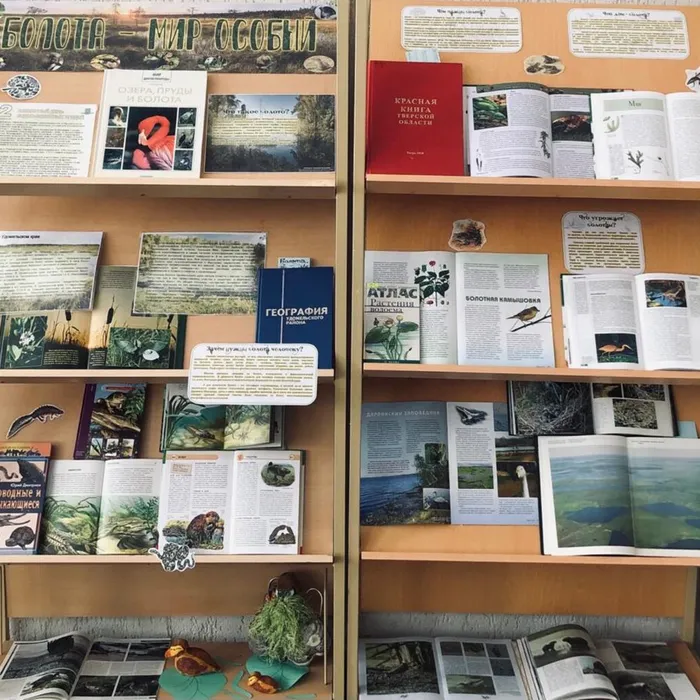 Книжно-журнальная выставка "Болота - мир особый"