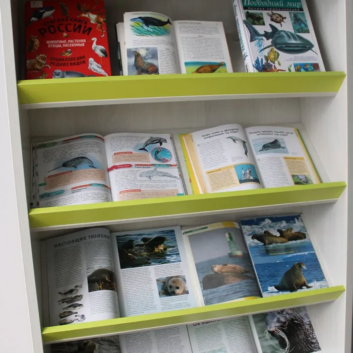 Книжная выставка «Друзья синих волн»