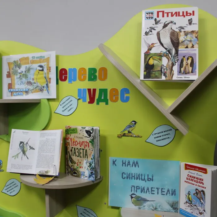 Книжная выставка «К нам синицы прилетели»