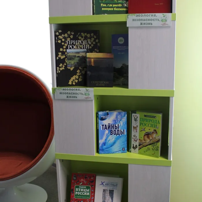 Книжно-журнальная выставка «Экология, безопасность, жизнь»