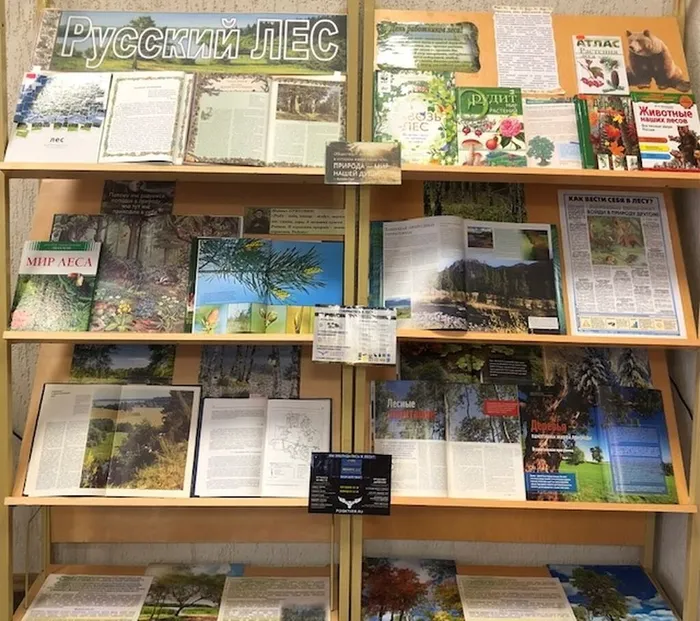 Русский лес