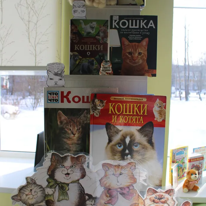 Книжная выставка «Замурчательные книжки»