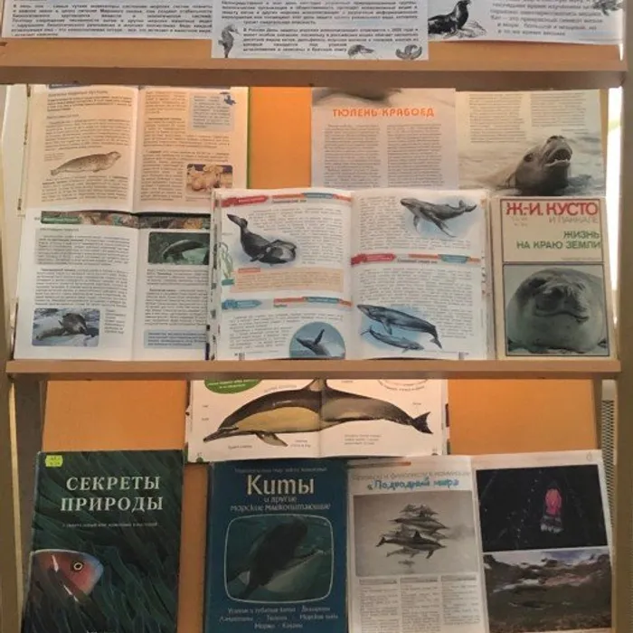 Книжно-журнальная выставка "Животные морских просторов"